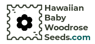 Hawaiian Baby Woodrose Seeds