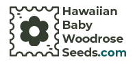 Hawaiian Baby Woodrose Seeds